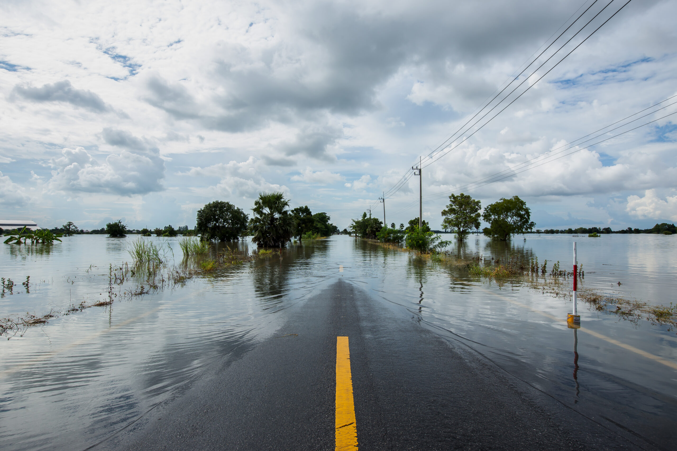 Building Knowledge, Building Adaptation